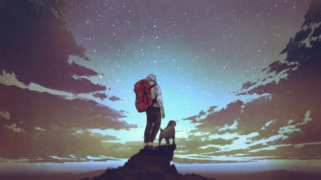 The Best National Parks for Hiking with Dogs: Explore Together
