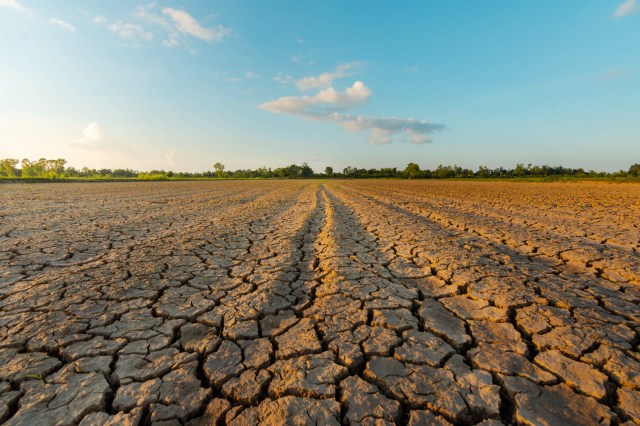 Exploring the Impact of Climate Change on Ancient Migration Routes