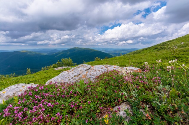 Exploring Nature: The Top Family-Friendly Mountain Hiking Trails to Try