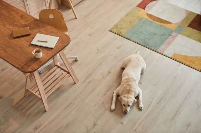 Top 5 Pet-Friendly Home Furnishings That Combine Style and Durability