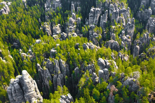 Understanding the Forces Behind the Evolution of Natural Landscapes